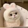 @KittenGacha-55