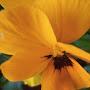 @reportage-natur-dorisrepor3758