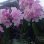 @Girish720India