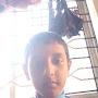 @shireenharapanhalli387