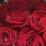@perfect.weather5933