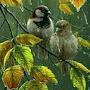 @kavitabyshubhangi2609
