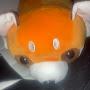 @RedPandaOL