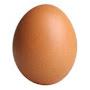 @eggnugget166
