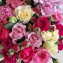 @mohammadchoti4138