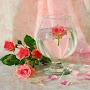 @alenadobrovolsckaya3425