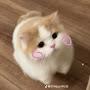 @Phuonganhhh23th4
