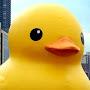 @DugDucky
