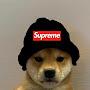 @doggodasupreme