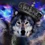 @wolfiestsm2117