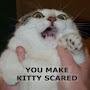 @user-us5wh7op5f