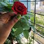 @payelpramanick7104