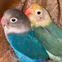 @Preppyanimallover1228
