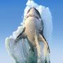 @Sharkenjoyer862