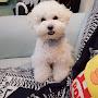 @김덕수-h4x