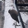 @1925683