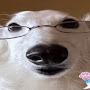 @Doesitrealltmatter657