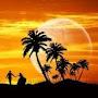@achalmeshram-wj4hm