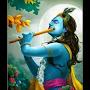 @shikhavishwakarma4594