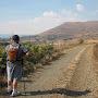 @travelsouthafrica5048
