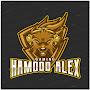 @hamoodalex5322