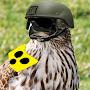 @Blind_Hawk