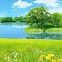 @viang6506