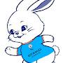 @nswer-o2h