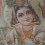 @shrutisharma7042