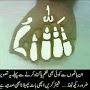 @mohdansari3356
