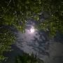 @Moon9-y8e
