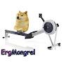 @ErgMongrel