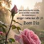 @elainefernandes8342