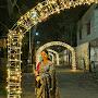@priyankabandopadhyay5880