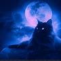 @LunarKing-meow
