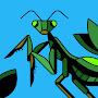 @LovelyPrayingMantis-mh6hw