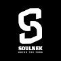 @MrSoulnek