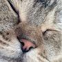 @saraalsuwaidi2282