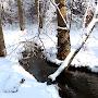 @winterborn82