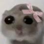 @Genevieve-r6p