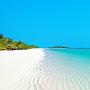 @AlimAbrahim