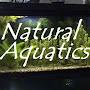 @DylanTommyNaturalAquatics
