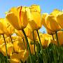 @nabilahgani7142