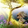 @introvert_8406
