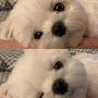 @오때-q5w