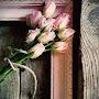 @قلبياطمئنان-ي8د