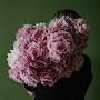 @youcanbloom