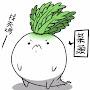 @菜頭-w2h