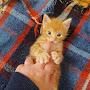 @animals42life8