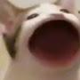 @trunghieunguyen217
